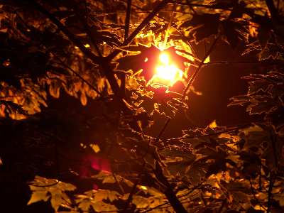 projektowanie stron www Piła