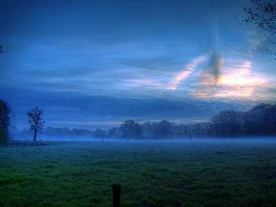 tworzenie stron internetowych w Pile