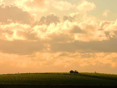 tworzenie stron www Piła