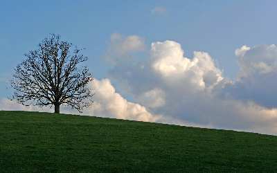 Piła strony internetowe