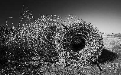 pozycjonowanie Olesno