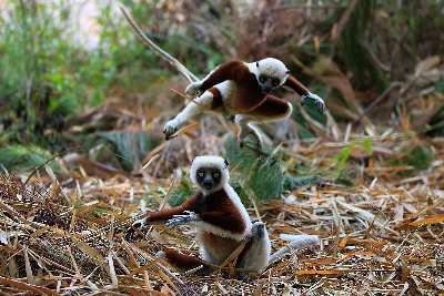 strony internetowe Piła