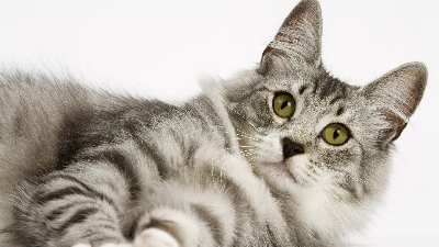 tworzenie stron www Piła