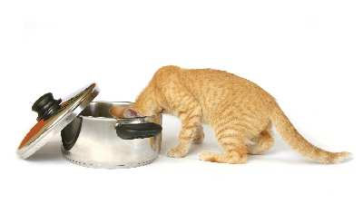 projektowanie stron www Piła