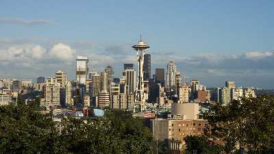 Piła pozycjonowanie firma