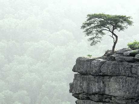 projektowanie sklepów www Piła