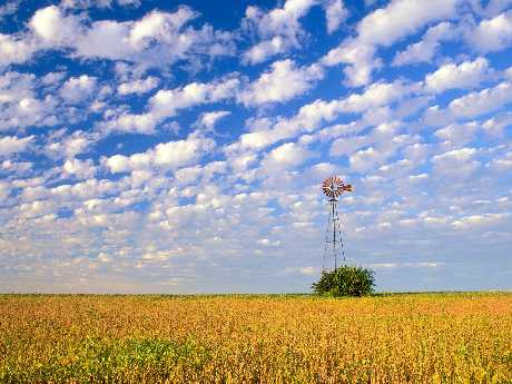 tworzenie stron internetowych Piła