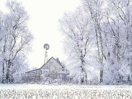 strony internetowe Piła