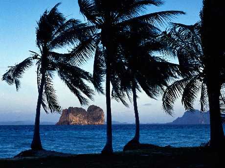 Pila pozycjonowanie stron internetowych