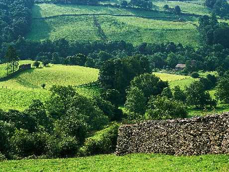 Poznań duże rozmiary