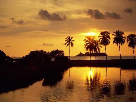 projektowanie sklepu www Piła