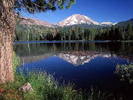 strony internetowe Piła