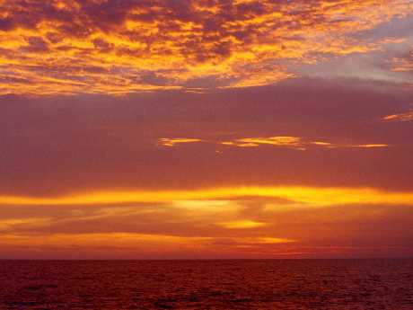 tworzenie stron Piła