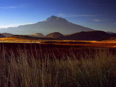 strony internetowe Piła
