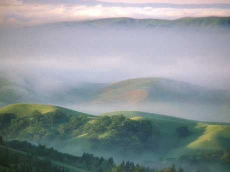 Recz pozycjonowanie sklepów www firma