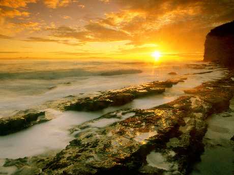 Piła strony internetowe