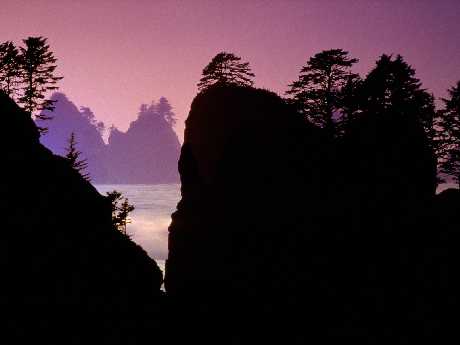 Pila kurs nurkowania