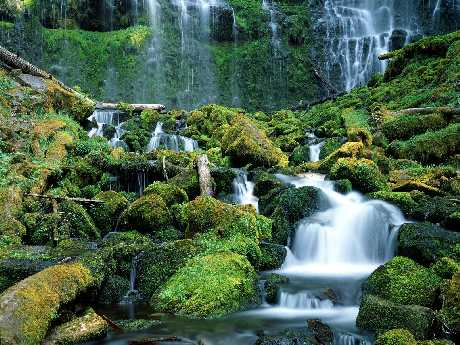 projektowanie stron www Piła