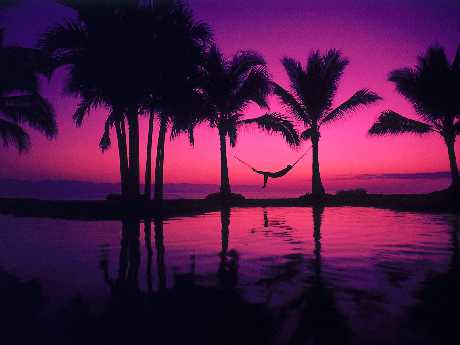 pozycjonowanie stron Pila