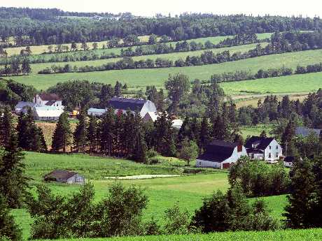 pozycjonowanie stron www Piła