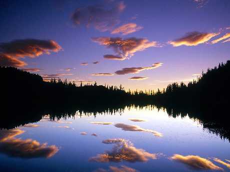 projektowanie stron Piła