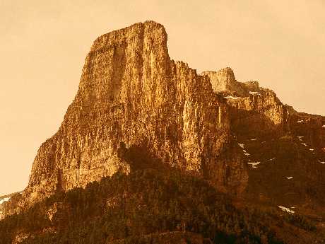 strony internetowe Piła