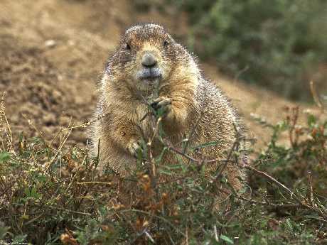 tworzenie stron internetowych Piła