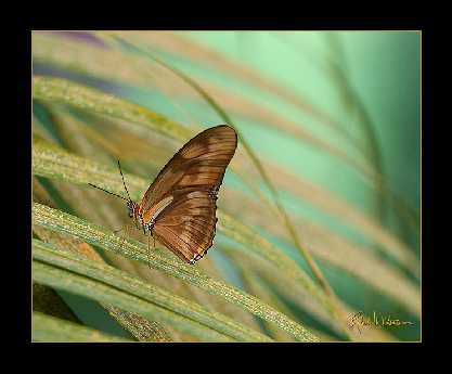 tanie pozycjonowanie sklepów internetowych Siewierz tanie pozycjonowanie sklepów internetowych Siewierz