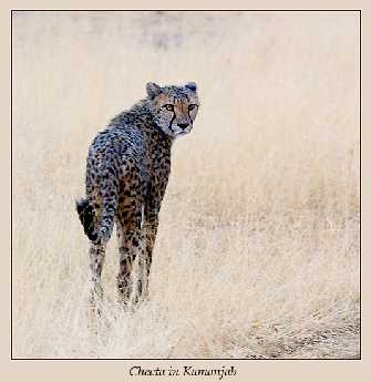 duże rozmiary Bydgoszcz