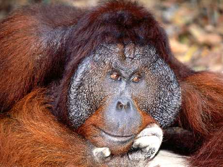 strony internetowe Piła