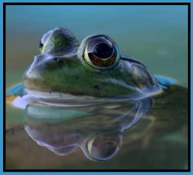 tworzenie stron internetowych Piła