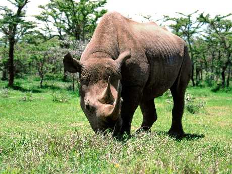 strony internetowe Piła