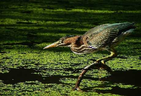 Pieszyce budowa sklepów internetowych ceny