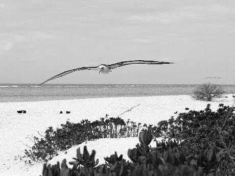 Piła strony internetowe