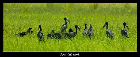 dobre pozycjonowanie stron Piła