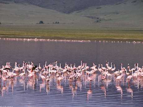 Toruń pracownia architektoniczna