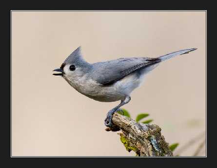 strony internetowe Wieliczka tanio