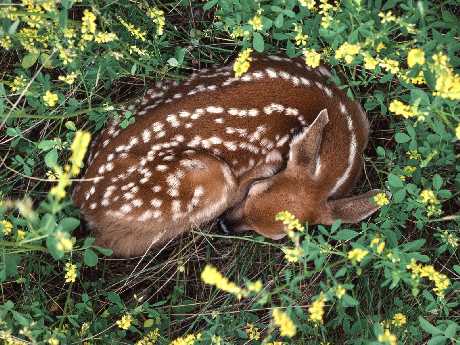 tworzenie sklepów www Piła