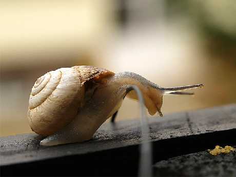 projektowanie stron internetowych Piła