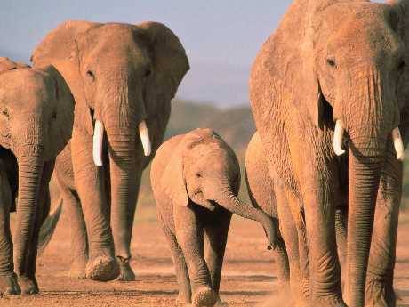 Łobez budowa sklepów internetowych ceny