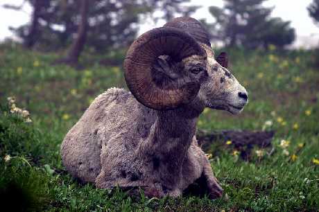 projektowanie sklepu www Piła