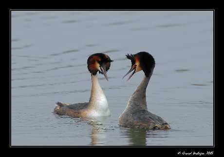 tworzenie sklepów internetowych Pila