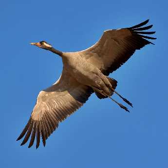 projektowanie sklepu internetowego Piła