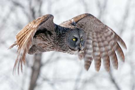 Piła sklepy internetowe