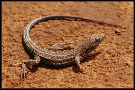 pozycjonowanie stron Góra Kalwaria