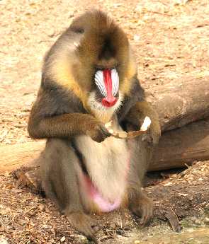 tanie pozycjonowanie sklepów internetowych Sobótka tanie pozycjonowanie sklepów internetowych Sobótka