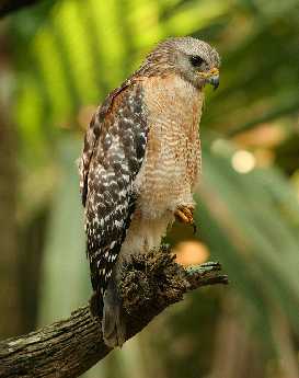 pozycjonowanie stron w Pile