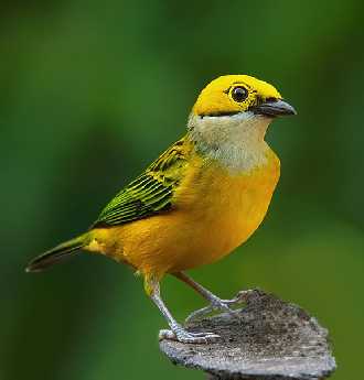 strony internetowe Piła