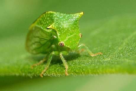 tworzenie stron internetowych Piła