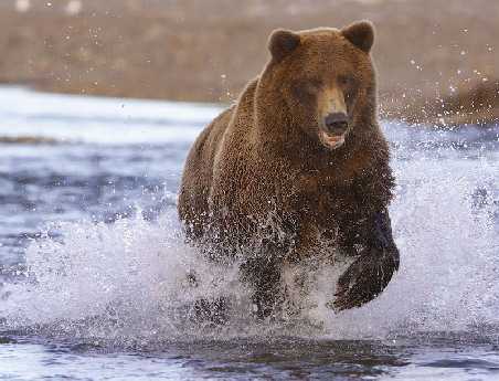 tworzenie stron internetowych Piła